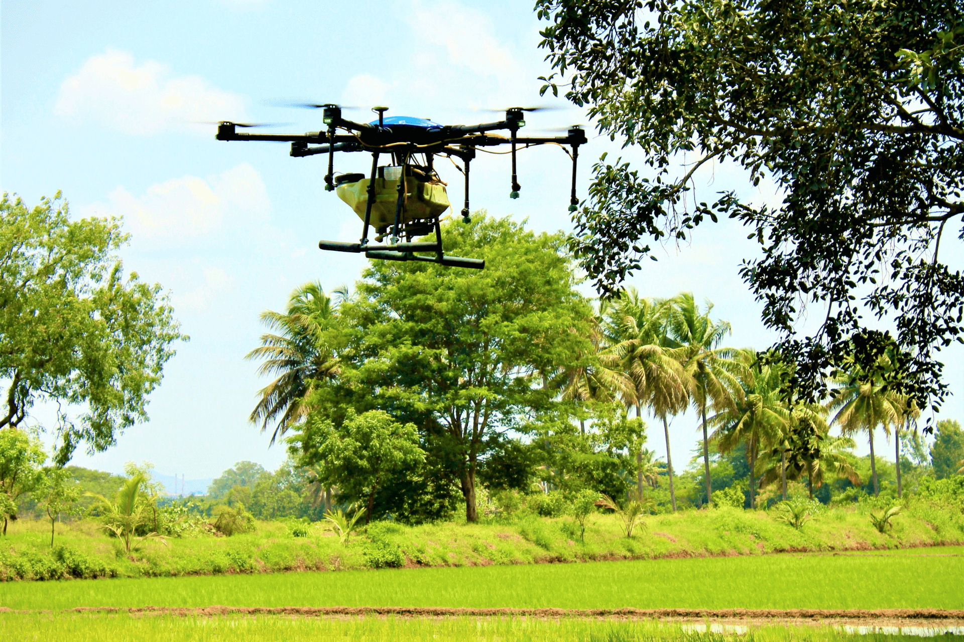 Agriculture & Forest Management